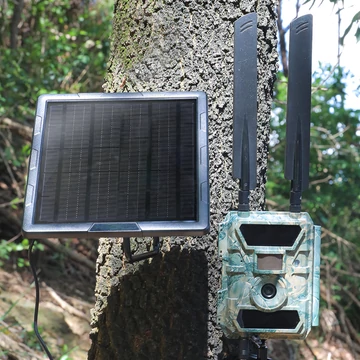 Owleye Solarpower 